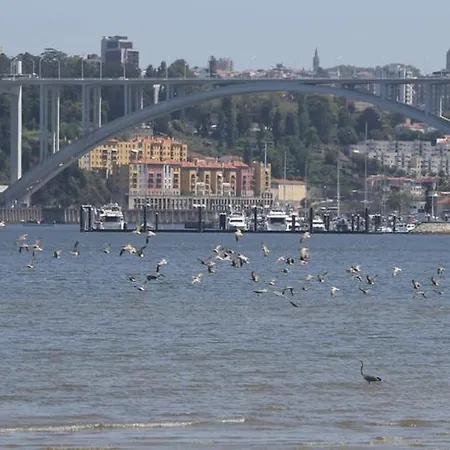 Porto Arrabida Gaia, Big Comfortable, 4or6 Pax, Ground Floor * וילה נובה דה גאיה