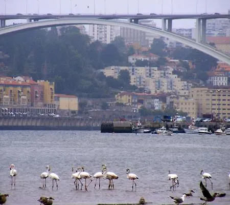 Apartment Porto Arrabida Gaia, Big Comfortable, 4or6 Pax, Ground Floor Vila Nova de Gaia