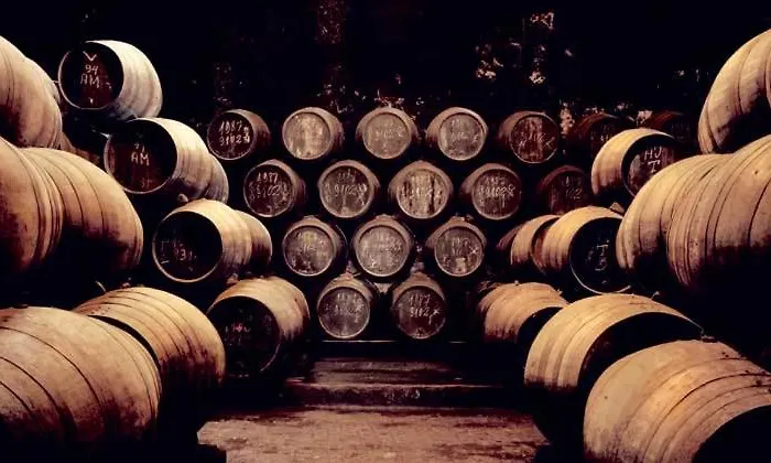 Porto Arrabida Gaia, Big Comfortable, 4or6 Pax, Ground Floor * ヴィラ・ノヴァ・デ・ガイア