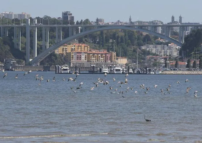 Porto Arrabida Gaia, Big Comfortable, 4or6 Pax, Ground Floor * ヴィラ・ノヴァ・デ・ガイア